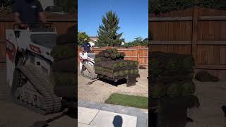 That’s a lot of sod landscaping hardscaping lawn sod dreambackyard cny syracuse