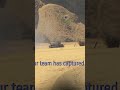 Over the Mountain and Through the Smoke | War Thunder M4A3 (105) Gameplay