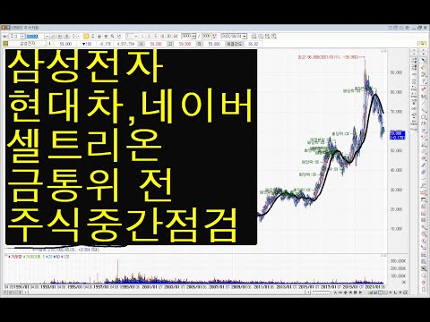 삼성전자 현대차,네이버 셀트리온 금통위 전 주식중간점검
