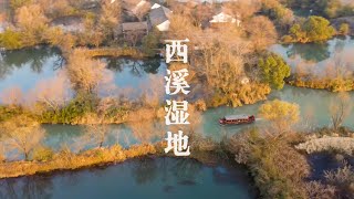 如何轻松打卡杭州西溪湿地电瓶船2小时快捷游览体验