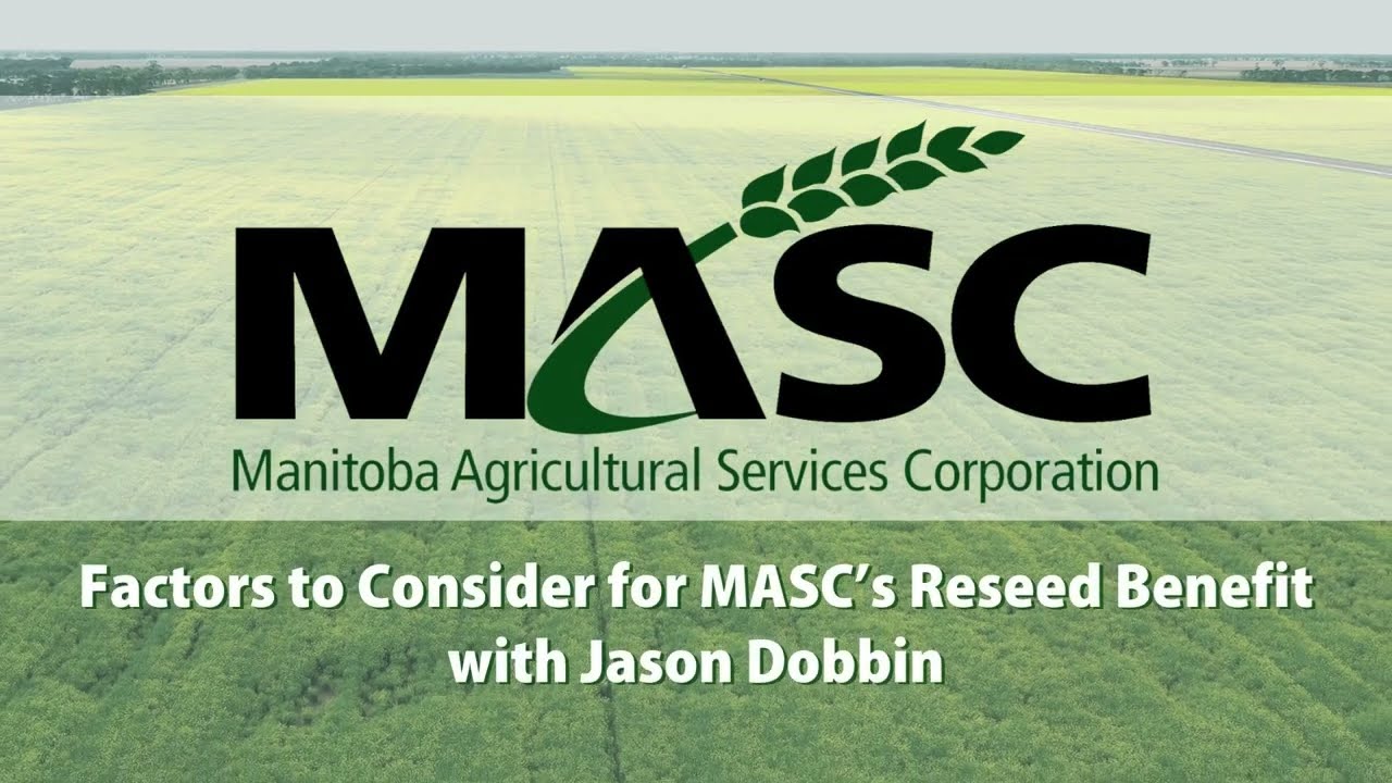 Thumbnail for Explaining the Reseed Benefit