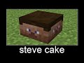 minecraft wait what meme #1 steve cake