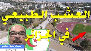 رأيي في إشكالية العشب الطبيعي في الملاعب الجزائرية 2021