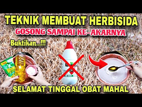 Cara Membuat