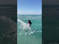 شاطئ مراسينا في مطروح  سياحة  