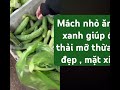 Tin  3 phút món lẩu bổ sung nhiều vitamin giúp đẹp da cho những cô nàng #food # riwes