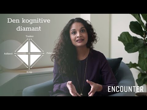 Video: Kognitiv Model: Forklaring Til Kunder