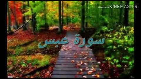 سورة عبس للشيخ عبد الودود حنيف