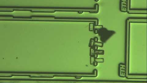ETH Zurich demonstrates "flying" in tiny microrobot