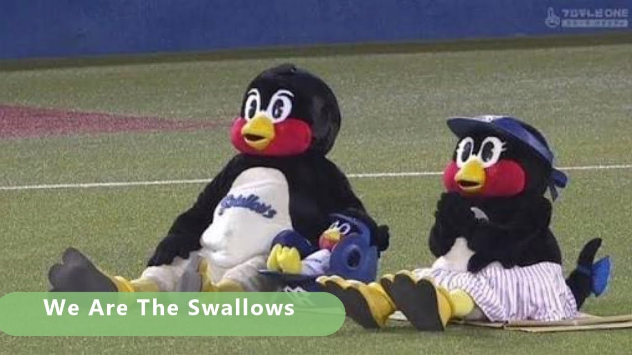 つば九郎とつばみちゃんで We Are The Swallows のpvを勝手に作ってみた Liveバージョン Youtube