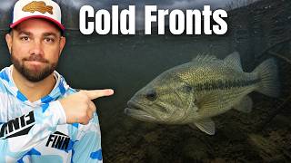 Spring COLD Snaps - Where Do The BASS Go?