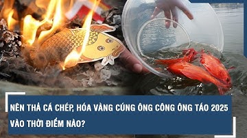 Nên thả cá chép, hóa vàng cúng ông Công ông Táo 2025 vào thời điểm nào? | VTs