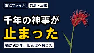 [Issue Files] Why Did Tsushima's Red Rice Ritual Stop? 14 Houses to 1, Rice Back in the Paddy (2024)