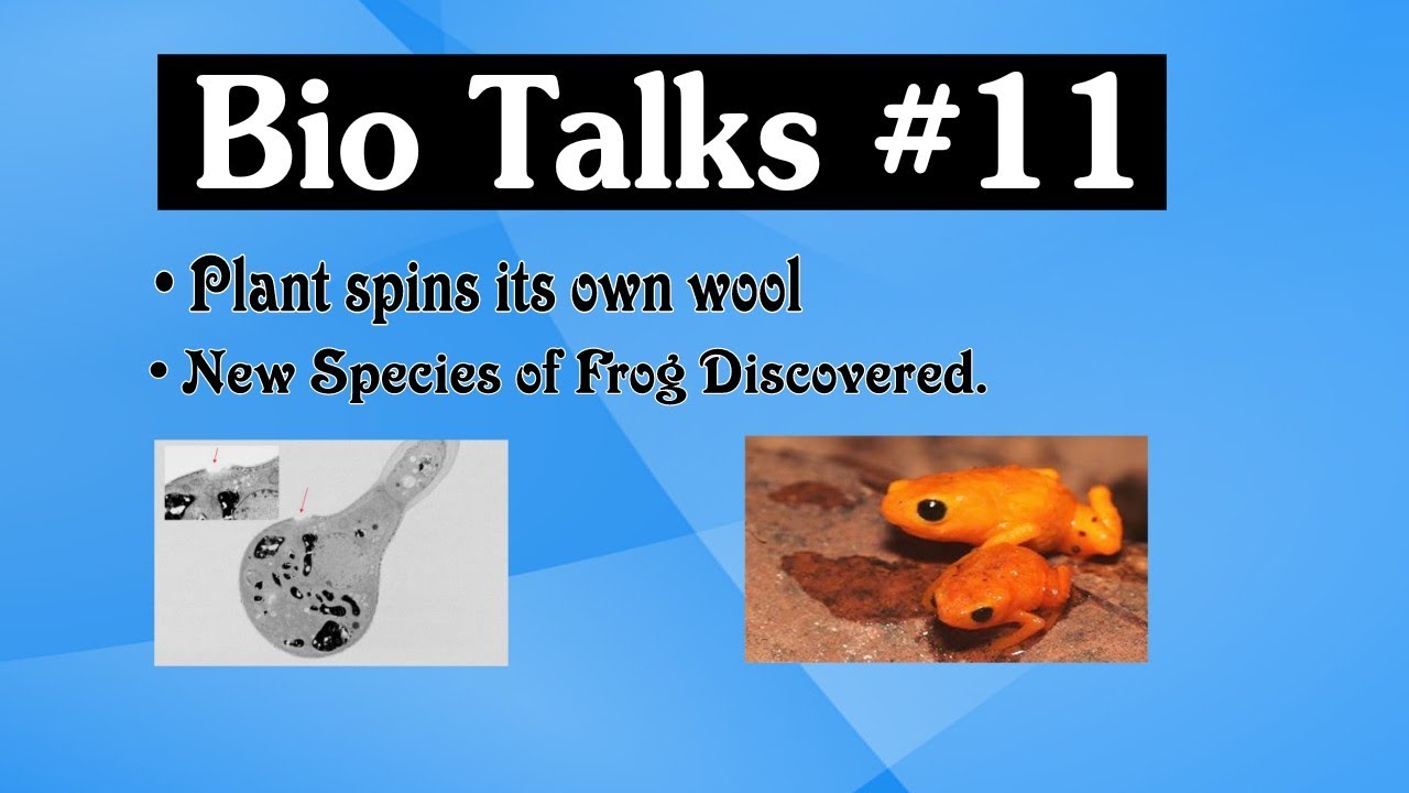 Bio Talks #11, New Species of Frog discovered, Plant Spin its own wool, New Birds Species found,