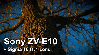 Sony ZV E10 + Sigma 16mm f1.4 Cinematic Video Footage