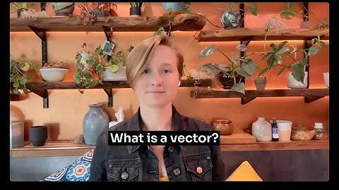 What is a vector?