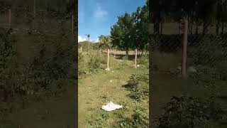 Land Area 162 Square meter