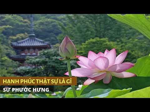 Video Hạnh phúc thật sự là gì - Pháp Thoại 2022 - Sư Phước... - youtube
