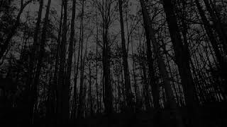 Abysmal Growls of Despair - A Chronicle of Demoniacal Metamorphosis