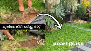 പുൽത്തകിടി മുഴുവൻ പറിച്ചു മാറ്റി | ഇനി pearl grass കൊണ്ട്  പുൽത്തകിടി സെറ്റ് ചെയ്യാം  #lawn