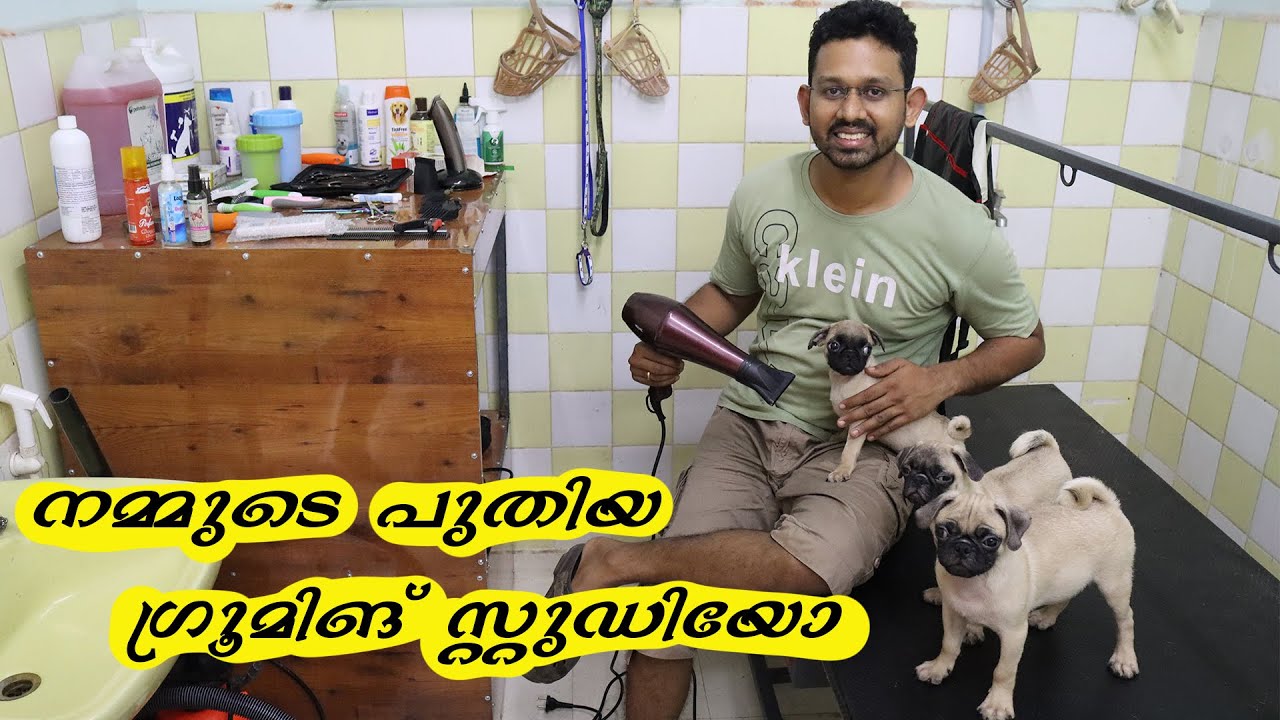 Pet Bazar Grooming studio Lowest grooming cost in Trivandrum Dogs