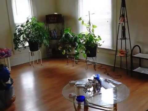 1211 W Michigan Ave, Lansing, MI home video tour