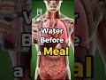 What Actually Happens Inside Your Body When You Drink A Glass Of Water Before A Meal