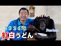 パンくん２０２６年お正月🎍【後編】香川県発祥紅白うどんに大喜び㊗️天才！チンパンジー. モンキーふーちゃん🐒お風呂でととのう♨️ #パンくん #紅白うどん