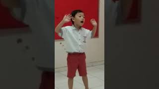 Lagu anak kembang apiku