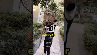 Bu İnsanlar Resmen Kahraman #tiktok #viral #shorts Resimi