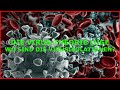 Die VIRUS-THEORIE LÜGE - Es gibt keine Virusisolationen und Auswirkungen auf den Menschen