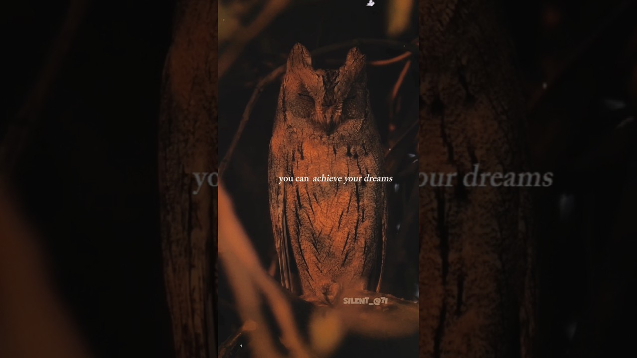 Start Again 💫🙌🏻 