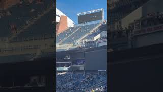 Seagulls Crash The Weeknd Concert, Take Over Stadium Seats