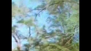 Tommy Page Missing You MV