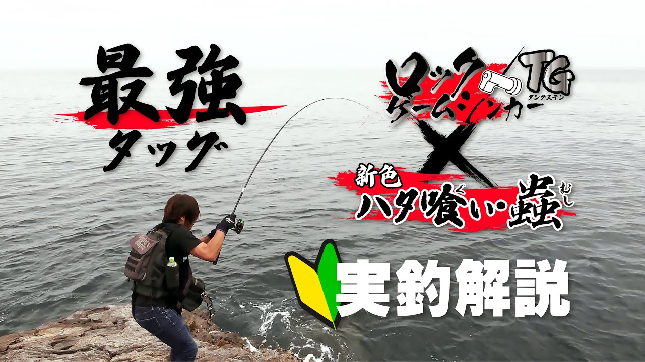 防波堤の横に伸びる地磯には夢がいっぱい！！お手軽だけど釣れる魚は超 