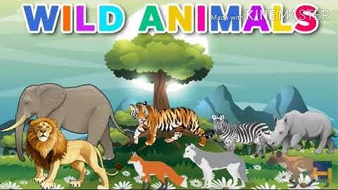 class -- Ukg (Evs ) wild animal