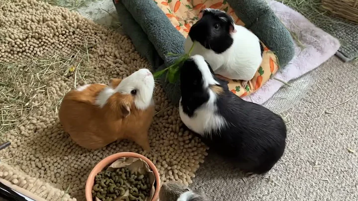 When I come home from work