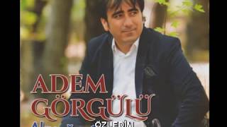 ADEM GÖRGÜLÜ - ÖZLEDİM Resimi