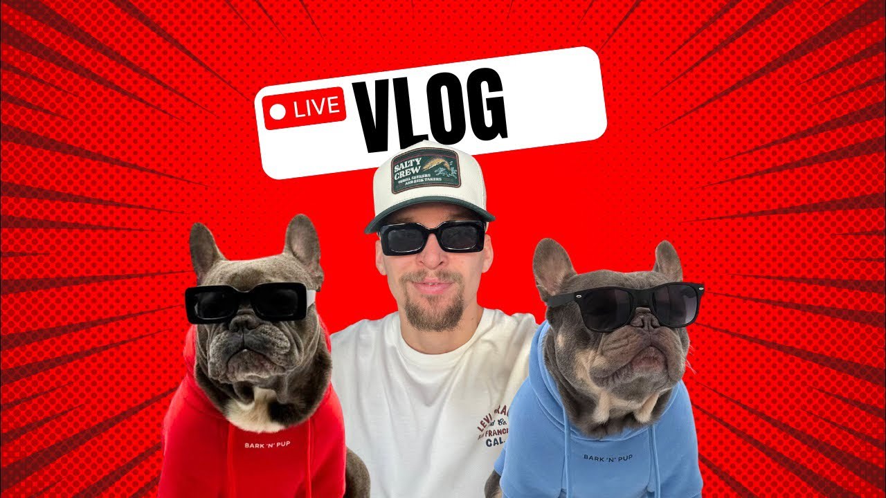 Live Vlog Day 49 - Vietnamese food with my dog