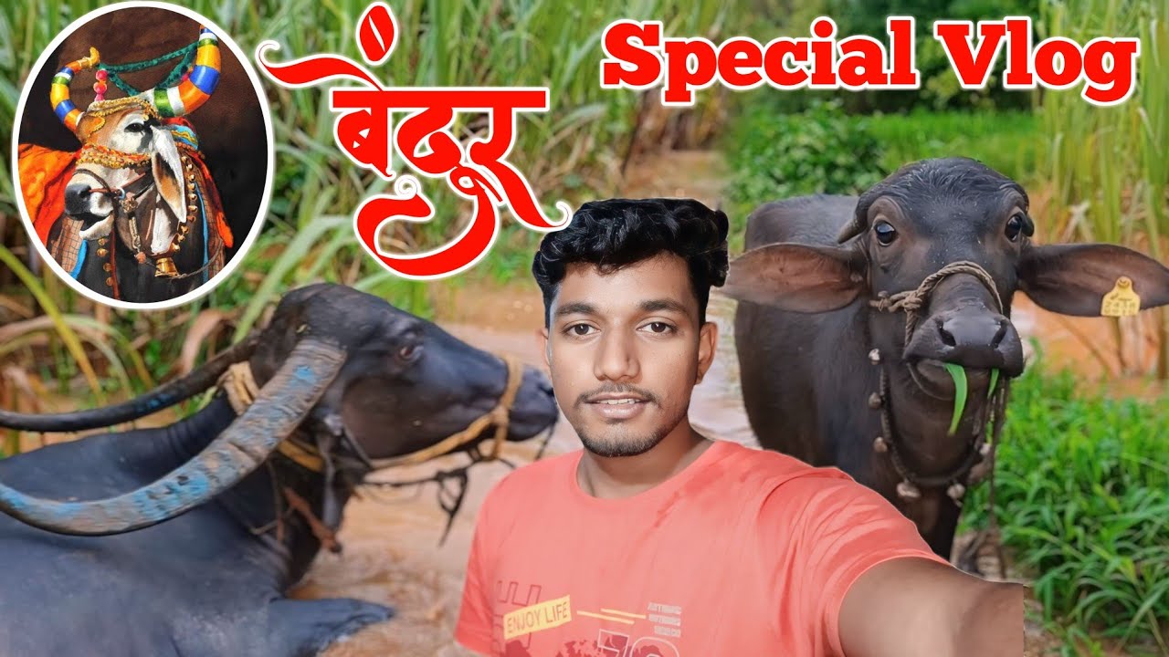 बेंदूर Special Vlog 💫|| 