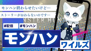 モンスターハンターワイルズ！！今日も狩りに行ってきます！！