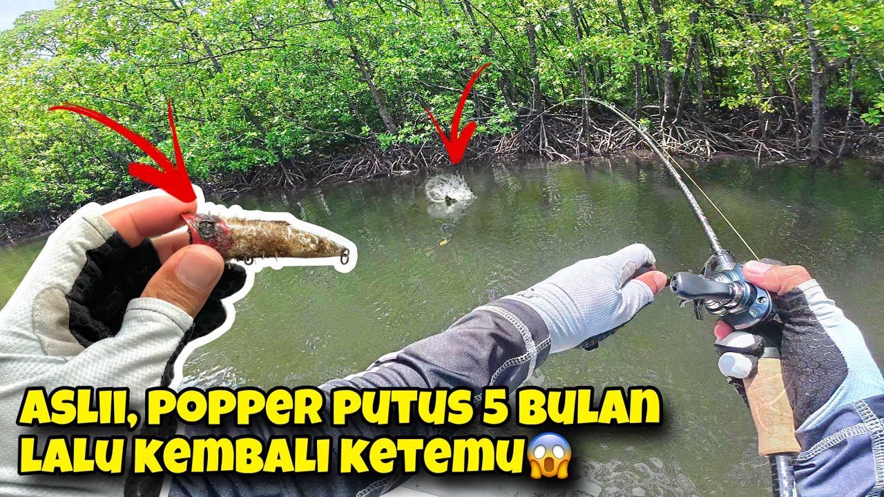 SEPERTI DRAMA CINA !! UMPAN POPPER YANG PUTUS 5 BULAN LALU KEMBALI LAGI , LANGSUNG STRIKE LAGI