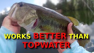 ЛУЧШИЕ приманки для ловли окуня осенью!!! (СПОЙЛЕР - ЭТО НЕ Topwater!!!!)