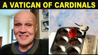 How Cardinals Survive the Brutal Northern Winter