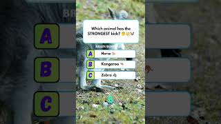 99% American fail this🇺🇸🤔“Nature’s power move 🦵” which animal has the strongest kick#usaquiz #usa