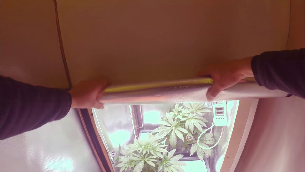 Armario de cultivo casero a medida