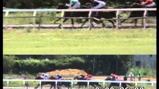 4a Carrera Premio Sam Bar 21 12 2014 Ganó Naive Int