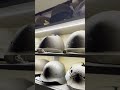 WWII Battlefield Helmets: My Collection From the Courland Pocket #restoration #helmet #ww2