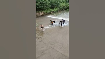 Câu cá nông thôn châu Á tuyệt vời 🐟 Kỹ thuật câu cá tốt nhất 🐟 #shorts