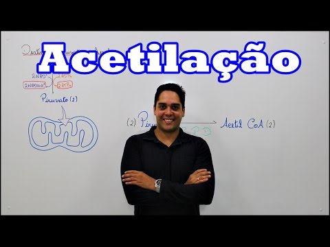 Videó: Hogyan képez a piruvát acetil-CoA-t?